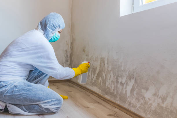 Mold inspector in Oakhurst performing thermal imaging
