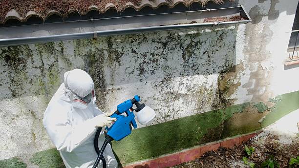 Mold Removal service in Oakhurst